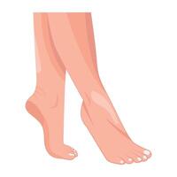 WebA flat icon depicting woman toes vector