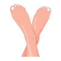 WebA flat icon showing beautiful crossed feet vector