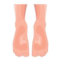 WebA flat style icon of soft soles vector
