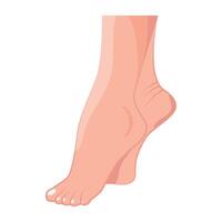 WebFlat style icon of lady toes vector