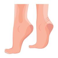 Beautiful foot heels flat style icon Web vector