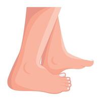 WebA flat icon of woman feet vector
