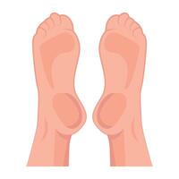WebA flat style icon of woman soles vector