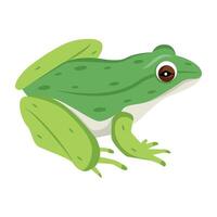 WebA flat style icon of cute frog vector