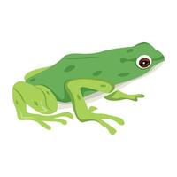 WebA flat icon of frog character vector