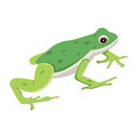 WebA flat style icon of water frog vector