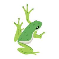 WebFrog mascot icon in flat style vector