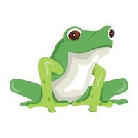 WebSummer frog icon in flat style vector