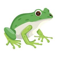 WebA flat style icon of bullfrog vector