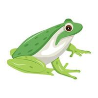 WeA flat style icon of pond frog b vector