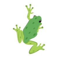 WebGarden frog icon in flat style vector