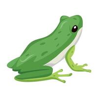 WebA flat style icon of amphibian vector