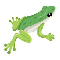 WebGrass frog icon in flat style vector