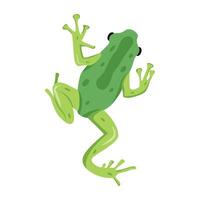 WebA flat style icon of polliwog vector