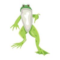 WebA flat icon of tailless amphibian vector