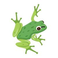 WebJungle frog icon in flat style vector