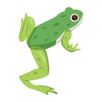 WebA flat icon of rana tigrina vector