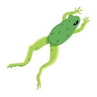WebJumping frog icon in flat style vector