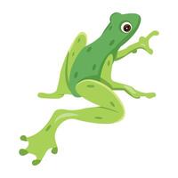 WebA flat style icon of bullfrog vector