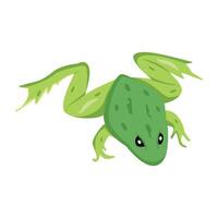 A flat icon of common frog vector