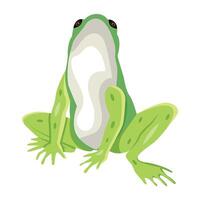 WebA flat style icon of grass frog vector