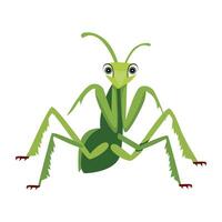WebA flat style icon of chinese mantis vector