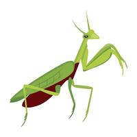 WebA flat style icon deciding cute stick bug vector