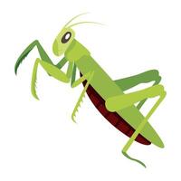 WebA flat icon of tree mantis vector