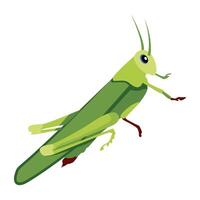 WebA flat icon of predator insect vector