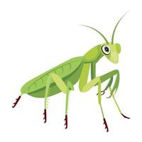WebA flat style icon of cute mantis vector