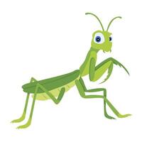 WebStick insect icon designed in flat style vector