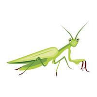 WebAn icon of mantodea insect in flat style vector