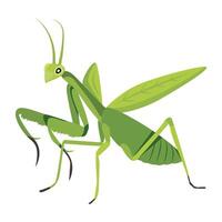 WebAn icon of mantodea insect in flat style vector