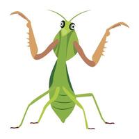 WebA cute flat style icon of mantis vector