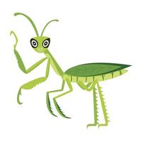 WebA flat style icon of cute mantis vector