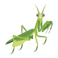 Flat style icon of predator bug vector