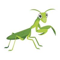 WebA flat style icon of leaf mantis vector