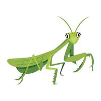 WebMantis insect icon in flat style vector