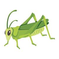 WebStick insect icon designed in flat style vector