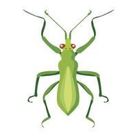 WebCute green mantis icon in flat style vector