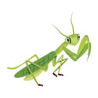 WebA flat style icon deciding cute stick bug vector
