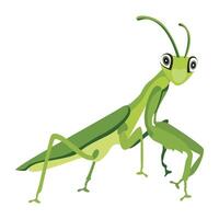 WebFlat style icon of predator bug vector