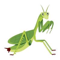 WebMantis insect icon in flat style vector