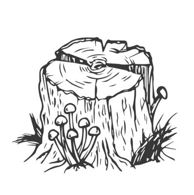 Wooden stump. Remaining tree with roots. Forest or garden plant. Hand drawn outline sketch. Isolated on white background. .
