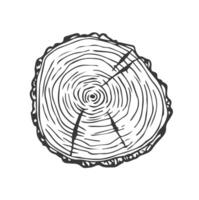 Tree Rings Set Saw Cut Trunk with Cracks and Black Lines Wooden Texture. illustration vector
