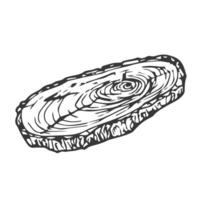 Tree Rings Set Saw Cut Trunk with Cracks and Black Lines Wooden Texture. illustration vector