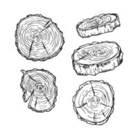 Tree ring wood circle line art set. Hand drawn tree ring pattern, line ripple circle wood texture. Wood organic slice line design. illustration. vector