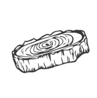 Tree Rings Set Saw Cut Trunk with Cracks and Black Lines Wooden Texture. illustration vector