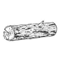 Tree log outline illustration,isolated on white background, trunk line sketch vector