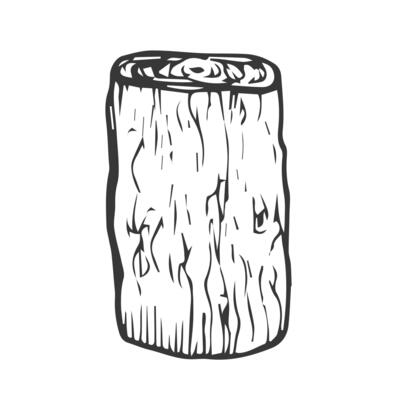 Wooden stump. Remaining tree with roots. Forest or garden plant. Hand drawn outline sketch. Isolated on white background. .